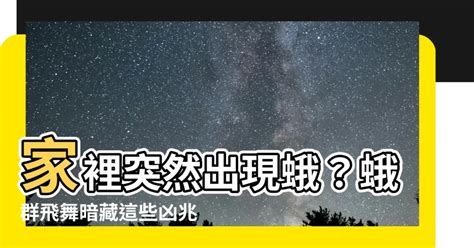 2月14日 星座 家裡出現蛾